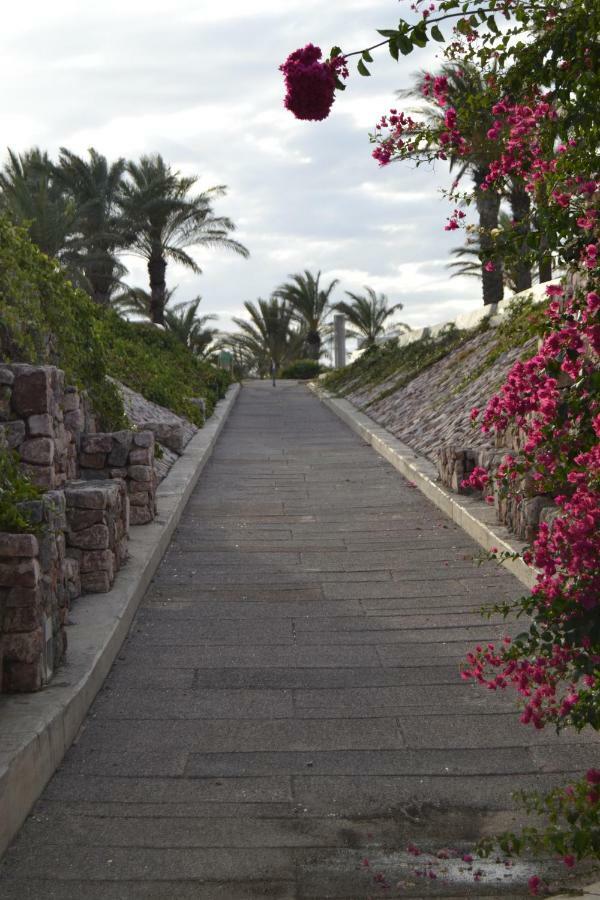 Apartamento Cabo De Gata Ретамар Екстериор снимка